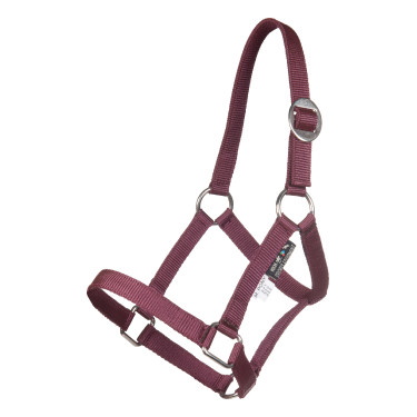Cabresto Minishetty HKM Cabresto Minishetty HKM