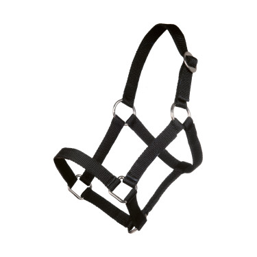 Cabresto Minishetty HKM Preto Cabresto Minishetty HKM Preto