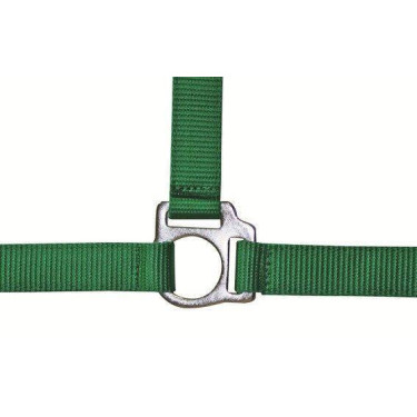 Licol Stars Economy HKM Verde claro