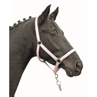 Cabresto Stars Economy Softice HKM Rosa leitosa Cabresto Stars Economy Softice HKM Rosa leitosa