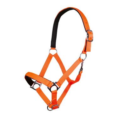 Cabresto Stars Softice forro macio HKM