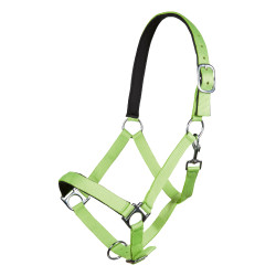 Cabresto Stars Softice forro macio HKM Cabresto Stars Softice forro macio HKM