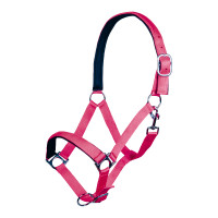 Cabresto Stars Softice forro macio HKM Rosa