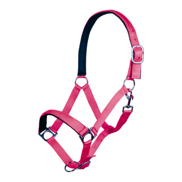 Cabresto Stars Softice forro macio HKM Rosa Cabresto Stars Softice forro macio HKM Rosa
