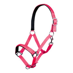 Cabresto Stars Softice forro macio HKM Rosa néon