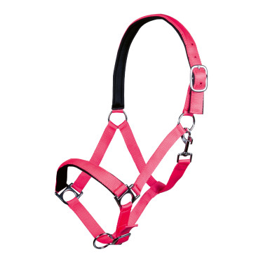 Cabresto Stars Softice forro macio HKM Rosa néon