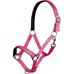 Cabresto Stars Softice forro macio HKM Rosa néon