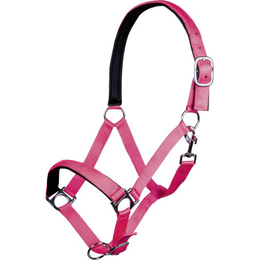 Cabresto Stars Softice forro macio HKM Rosa néon