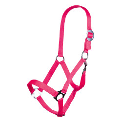 Cabresto Stars Economy Softice HKM Cabresto Stars Economy Softice HKM