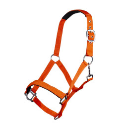 Cabezada Sydney Style HKM Laranja fluorescente