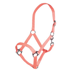 Cabresto Stars Economy Softice HKM Cabresto Stars Economy Softice HKM