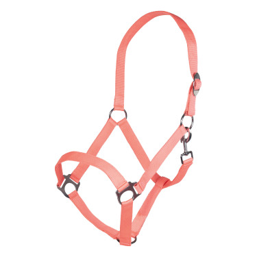 Cabresto Stars Economy Softice HKM Cabresto Stars Economy Softice HKM