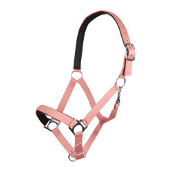Cabresto Stars Softice forro macio HKM