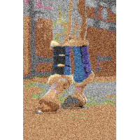 Guêtres Comfort Mesh HKM Azul escuro