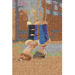 Guêtres Comfort Mesh HKM Azul escuro Guêtres Comfort Mesh HKM Azul escuro