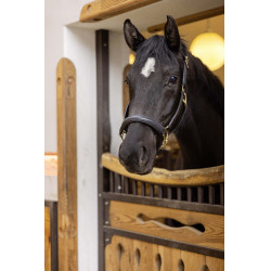 Cabezada de couro Gold HKM Preto