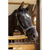 Cabezada de couro Gold HKM Preto Cabezada de couro Gold HKM Preto