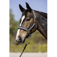 Longe Berry com mosquetão HKM Cinza escuro Cinzento