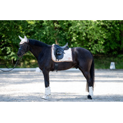 Guétras de dressage Edinburgh traseiras HKM Baunilha Guétras de dressage Edinburgh traseiras HKM Baunilha