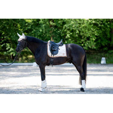 Guétras de dressage Edinburgh traseiras HKM Baunilha Guétras de dressage Edinburgh traseiras HKM Baunilha