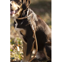 Coleira Anam Cara corda HKM Brandy Castanho