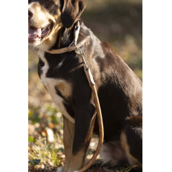 Coleira Anam Cara corda HKM Brandy Castanho