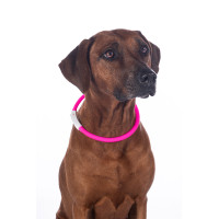 Coleira luminosa para cães LED HKM Rosa Coleira luminosa para cães LED HKM Rosa