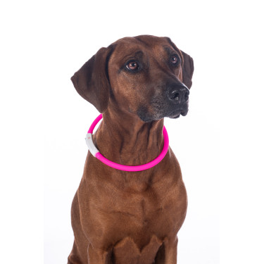 Coleira luminosa para cães LED HKM Coleira luminosa para cães LED HKM