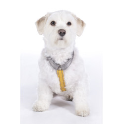 Arnês para cão Anam Cara Basic nylon HKM Arnês para cão Anam Cara Basic nylon HKM