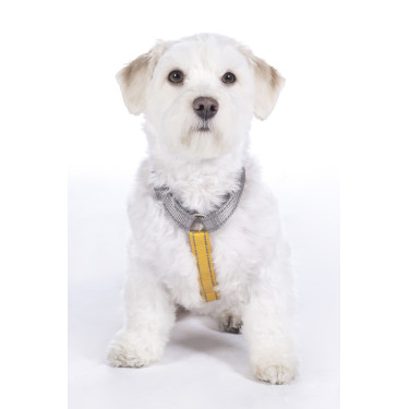 Arnês para cão Anam Cara Basic nylon HKM Arnês para cão Anam Cara Basic nylon HKM