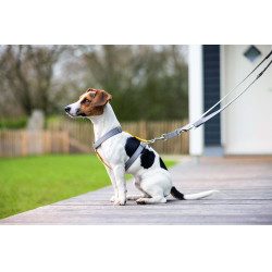 Arnês para cão Anam Cara Basic nylon HKM Arnês para cão Anam Cara Basic nylon HKM