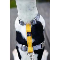 Arnês para cão Anam Cara Basic nylon HKM Arnês para cão Anam Cara Basic nylon HKM