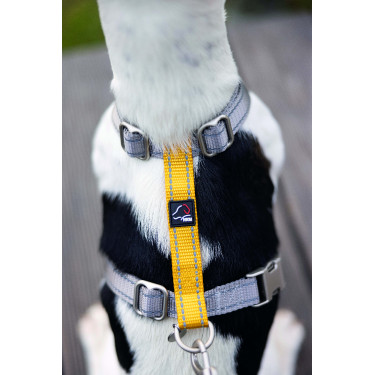 Arnês para cão Anam Cara Basic nylon HKM Arnês para cão Anam Cara Basic nylon HKM