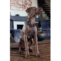 Arnês para cão Anam Cara Basic nylon HKM Azul escuro / petróleo Arnês para cão Anam Cara Basic nylon HKM Azul escuro / petróleo