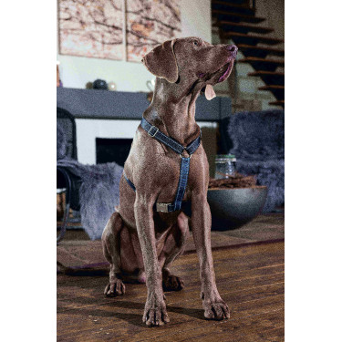 Arnês para cão Anam Cara Basic nylon HKM Azul escuro / petróleo Arnês para cão Anam Cara Basic nylon HKM Azul escuro / petróleo