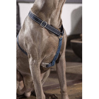 Arnês para cão Anam Cara Basic nylon HKM Azul escuro / petróleo Arnês para cão Anam Cara Basic nylon HKM Azul escuro / petróleo