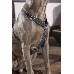 Arnês para cão Anam Cara Basic nylon HKM Azul escuro / petróleo Arnês para cão Anam Cara Basic nylon HKM Azul escuro / petróleo