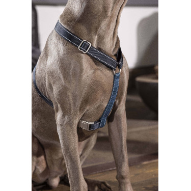 Arnês para cão Anam Cara Basic nylon HKM Azul escuro / petróleo Arnês para cão Anam Cara Basic nylon HKM Azul escuro / petróleo