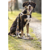 Trela de treino para cães Anam Cara estampada HKM Toupeira / dourado amarelo Cinzento