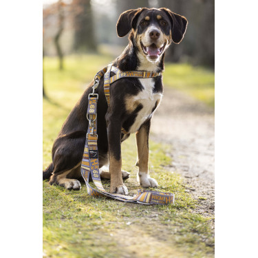 Trela de treino para cães Anam Cara estampada HKM Toupeira / dourado amarelo Trela de treino para cães Anam Cara estampada HKM Toupeira / dourado amarelo