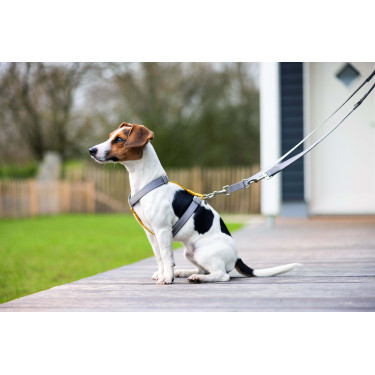 Trela de treino para cão Anam Cara nylon HKM  Cinzento-acastanhado Castanho