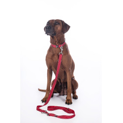 Trela de treino para cão Anam Cara nylon HKM Trela de treino para cão Anam Cara nylon HKM