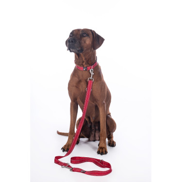 Trela de treino para cão Anam Cara nylon HKM Trela de treino para cão Anam Cara nylon HKM