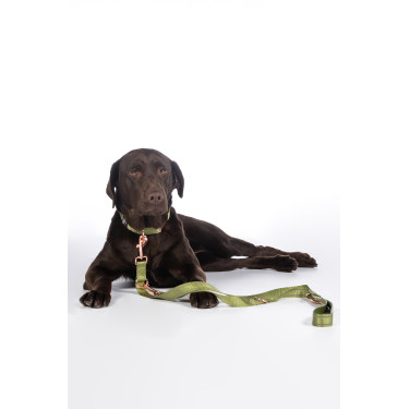 Trela de treino para cães Qooper nylon HKM