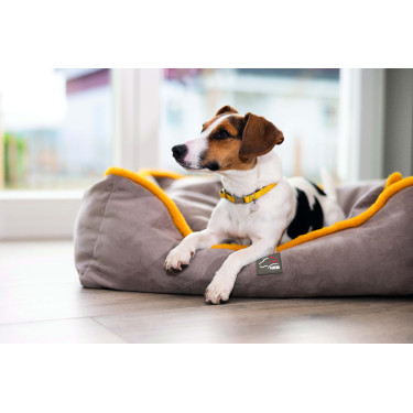 Cama para cão Anam Cara Comfort HKM Toupeira / dourado amarelo Cinzento Cama para cão Anam Cara Comfort HKM Toupeira / dourado amarelo Cinzento