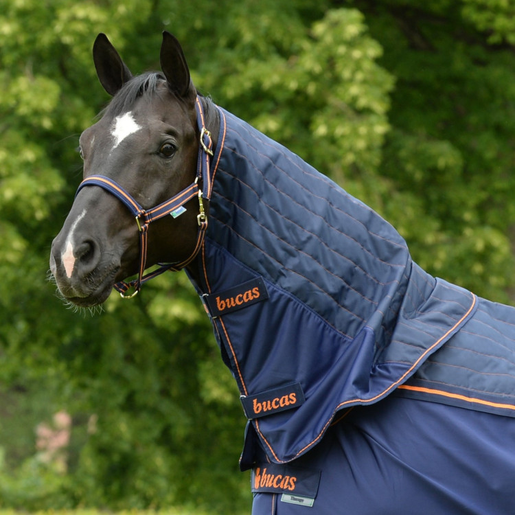 Pescoceira Bucas Therapy Cooler Neck Pescoceira Bucas Therapy Cooler Neck