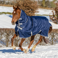 Capa Bucas Freedom Turnout Pescoço Inteiro 150g Azul-marinho Capa Bucas Freedom Turnout Pescoço Inteiro 150g Azul-marinho