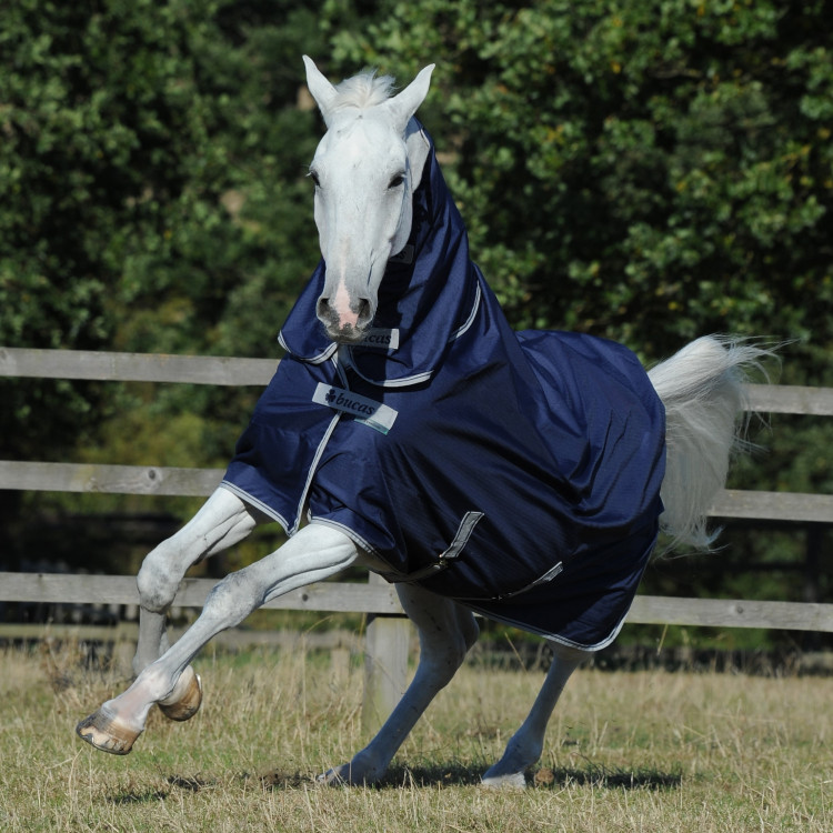 Cobertura Bucas Freedom Turnout Full Neck 300g Cobertura Bucas Freedom Turnout Full Neck 300g