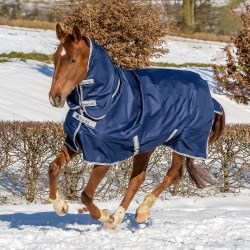 Cobertura Bucas Freedom Turnout Full Neck 300g Cobertura Bucas Freedom Turnout Full Neck 300g