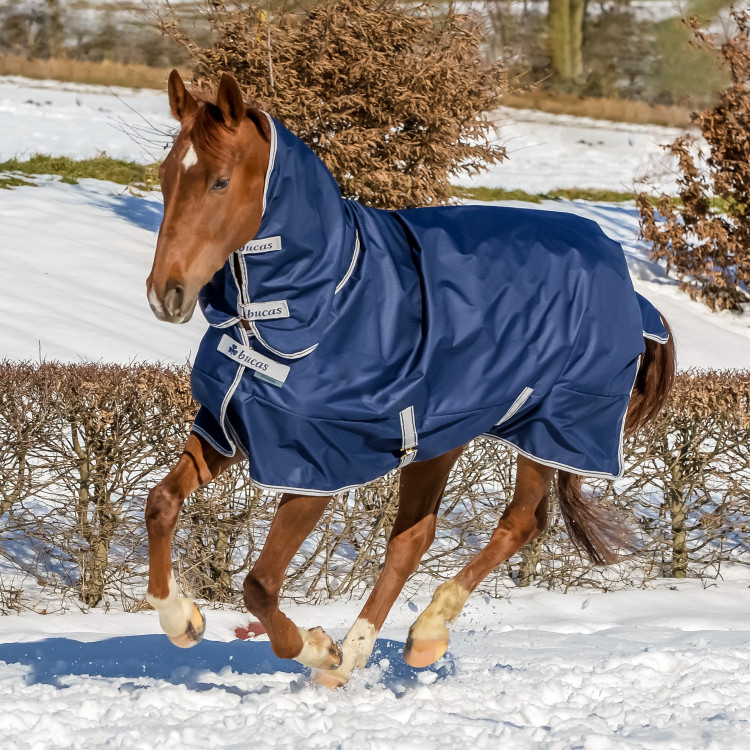Cobertura Bucas Freedom Turnout Full Neck 300g Cobertura Bucas Freedom Turnout Full Neck 300g